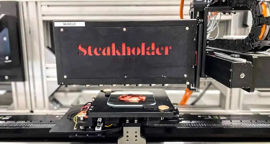 Empresa Steakholder usando impressão 3D em comidas