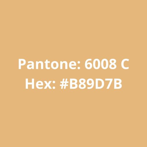 pantone filamento pla champanhe