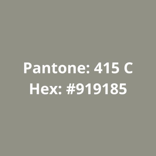 Pantone PETG high speed transparente