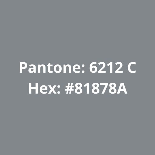 Pantone PETG High Speed Prata